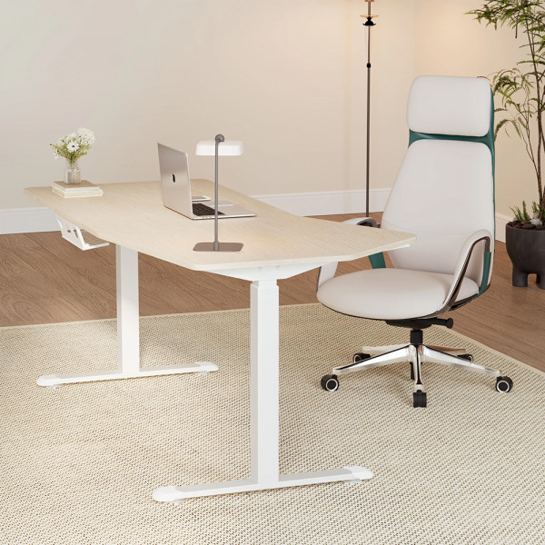 Eureka Ergonomic EDI HTG Unique Shape Office Standing Desk, Maple White  